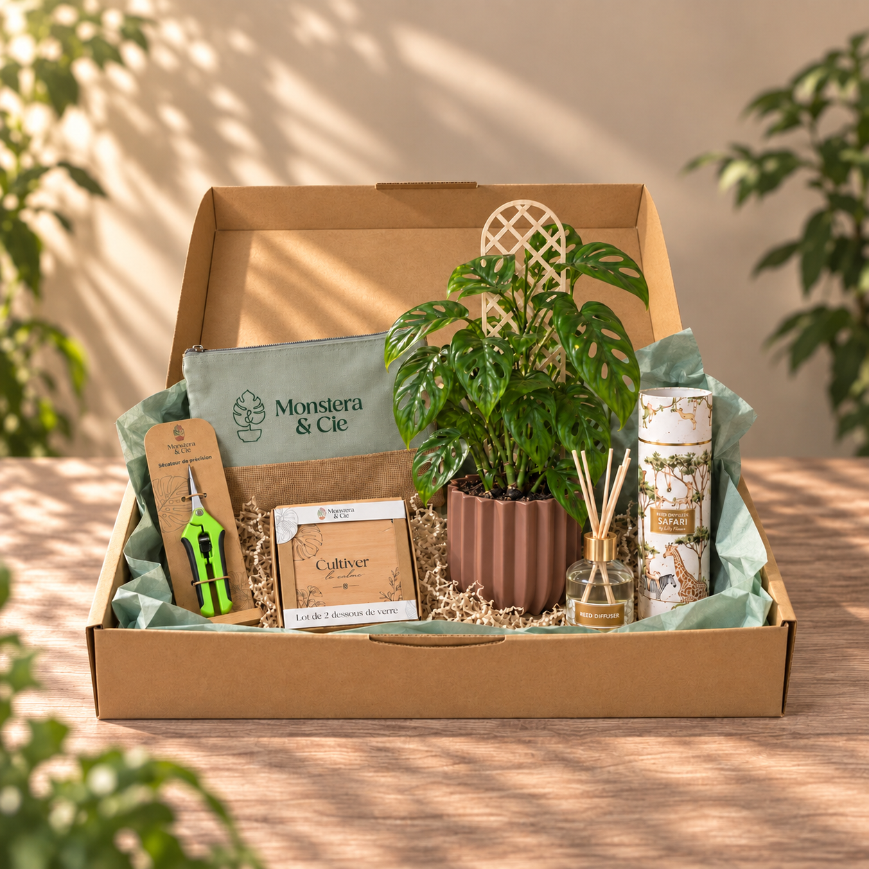Jungle Box ouverte