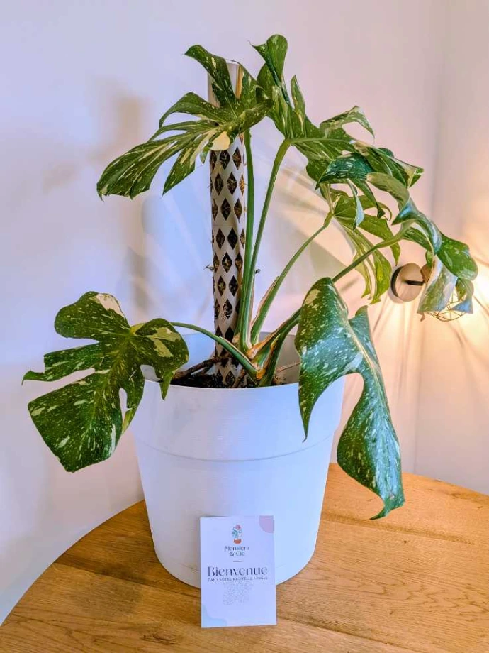 Photo de la box personnalisée d'Éloïse, vue 2